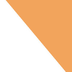 Company: Image 1