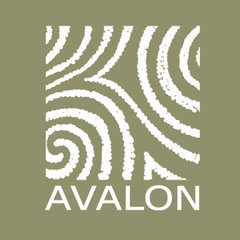 Company: Image 1