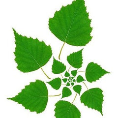 Company: Image 1