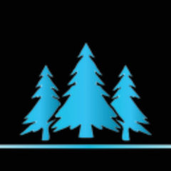 Company: Image 1