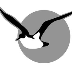 Company: Image 1
