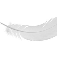 Company: Image 1