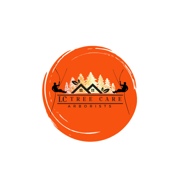 Company: Image 1
