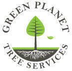 Company: Image 1