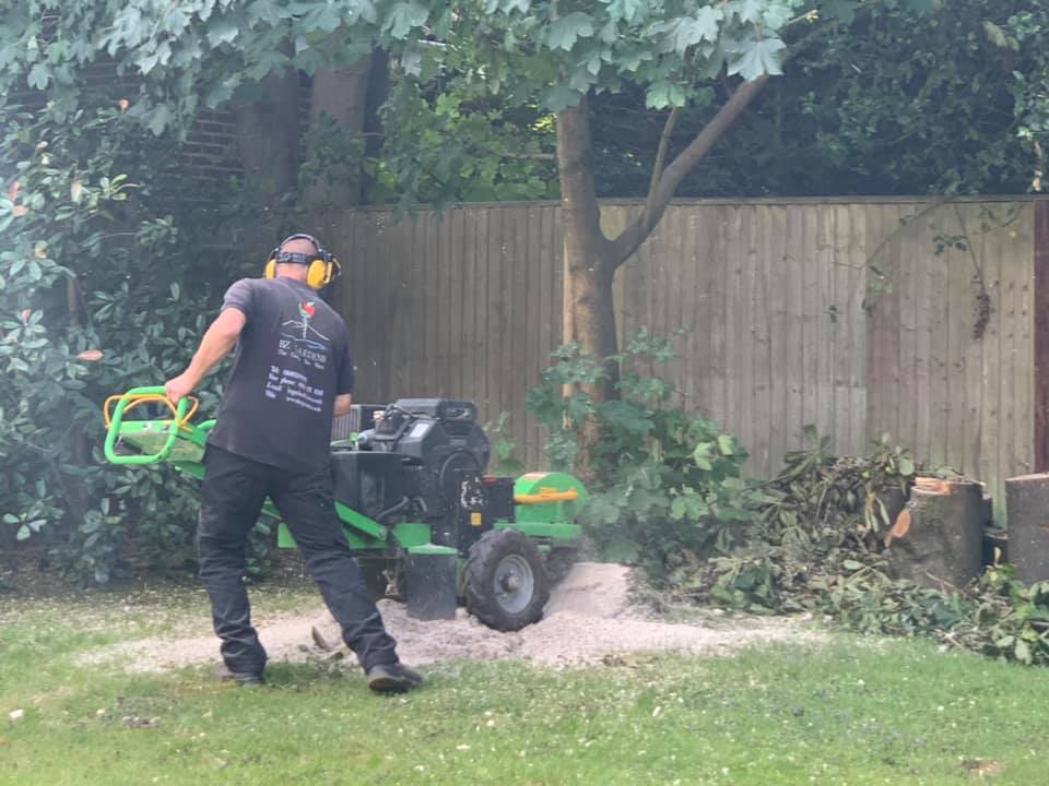 Gardener: Image 2