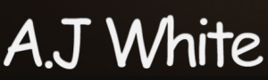Company: Image 1
