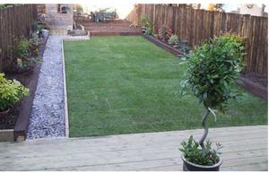 Profile: Image 1