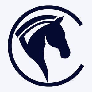 Company: Image 1