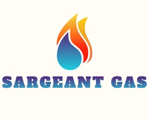 Company: Image 1