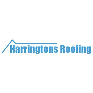 Company: Image 1