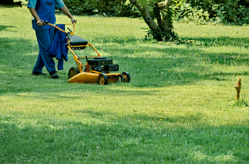 Company: Image 1