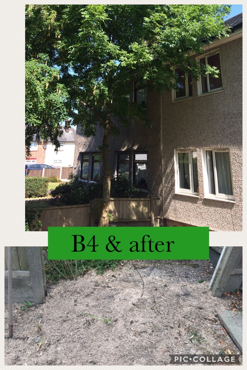 Gardener: Image 1