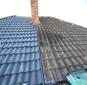 Company: Image 1