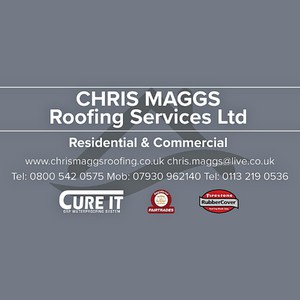 Company: Image 1
