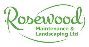 Company: Image 1