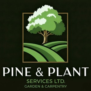 Company: Image 1