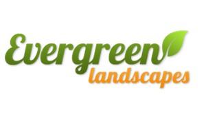 Company: Image 1