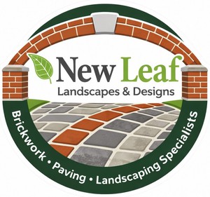 Company: Image 1