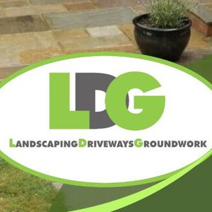 Company: Image 1