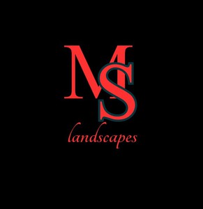 Company: Image 1