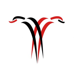 Company: Image 1
