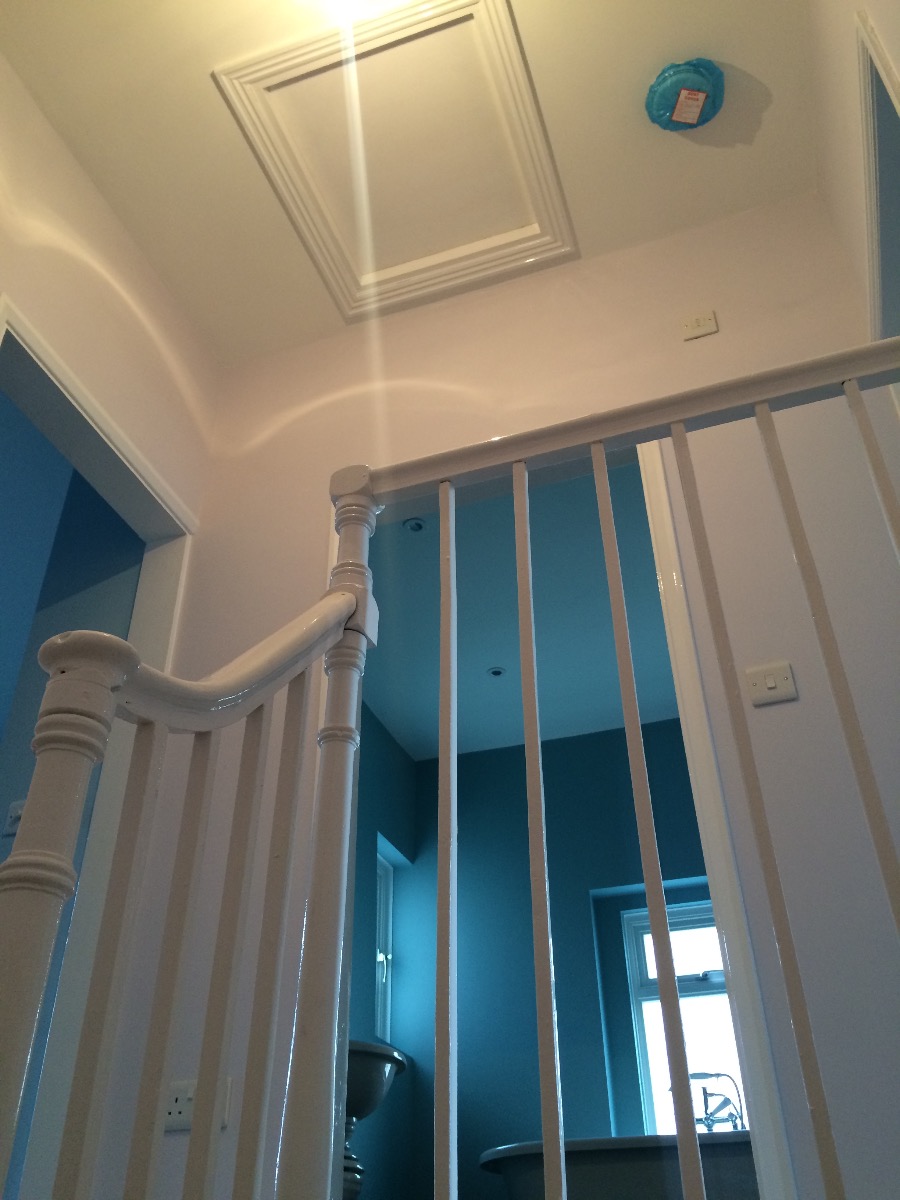 Builder: Image 61