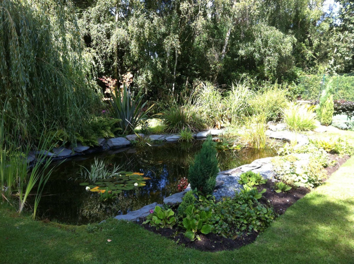 Gardener: Image 14
