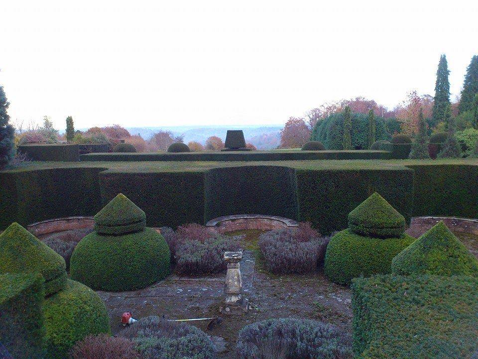 Gardener: Image 8