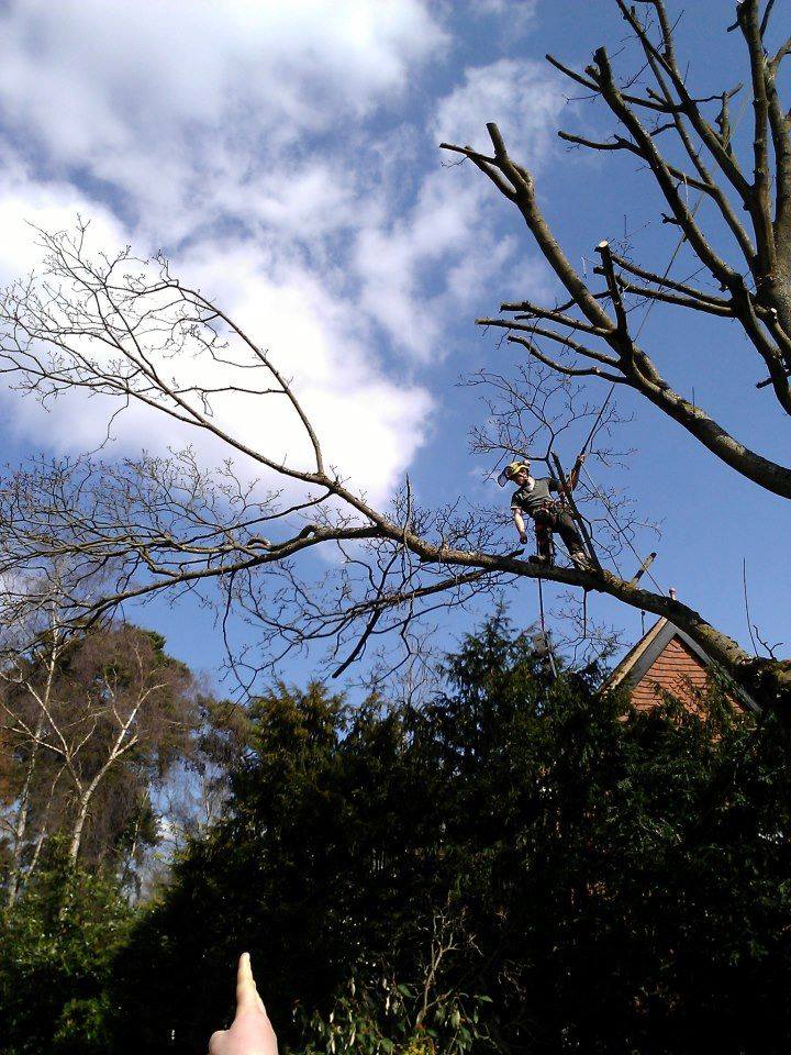 Gardener: Image 7
