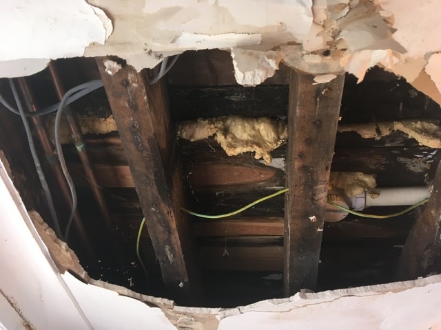 Plasterer: Image 1