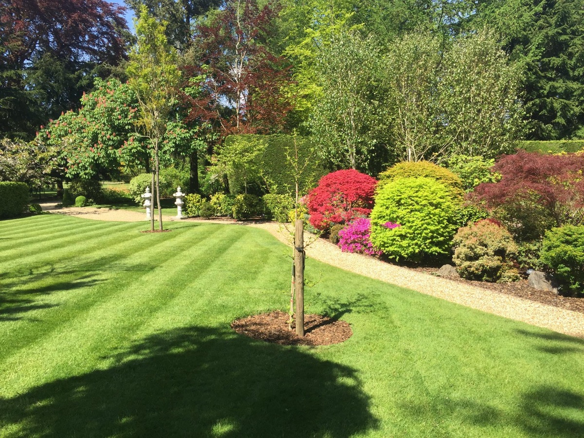 Gardener: Image 12