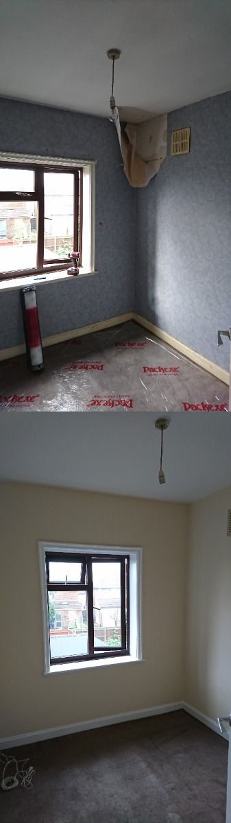 Painter and Decorator: Image 5