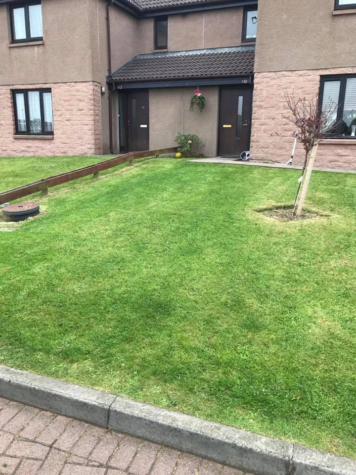 Gardener: Image 1