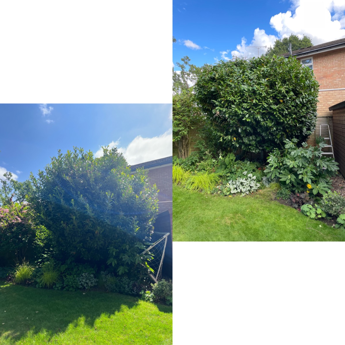 Gardener: Image 11