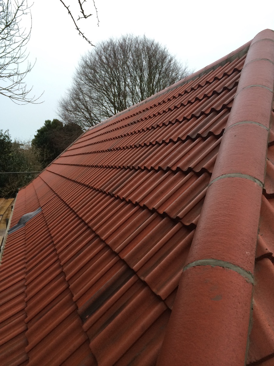 Builder: Image 49