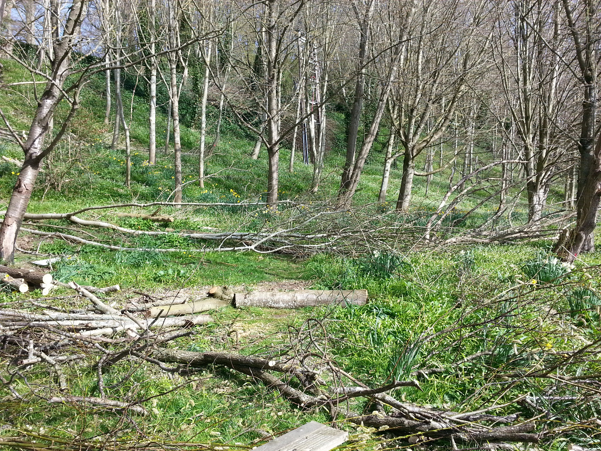 Gardener: Image 3