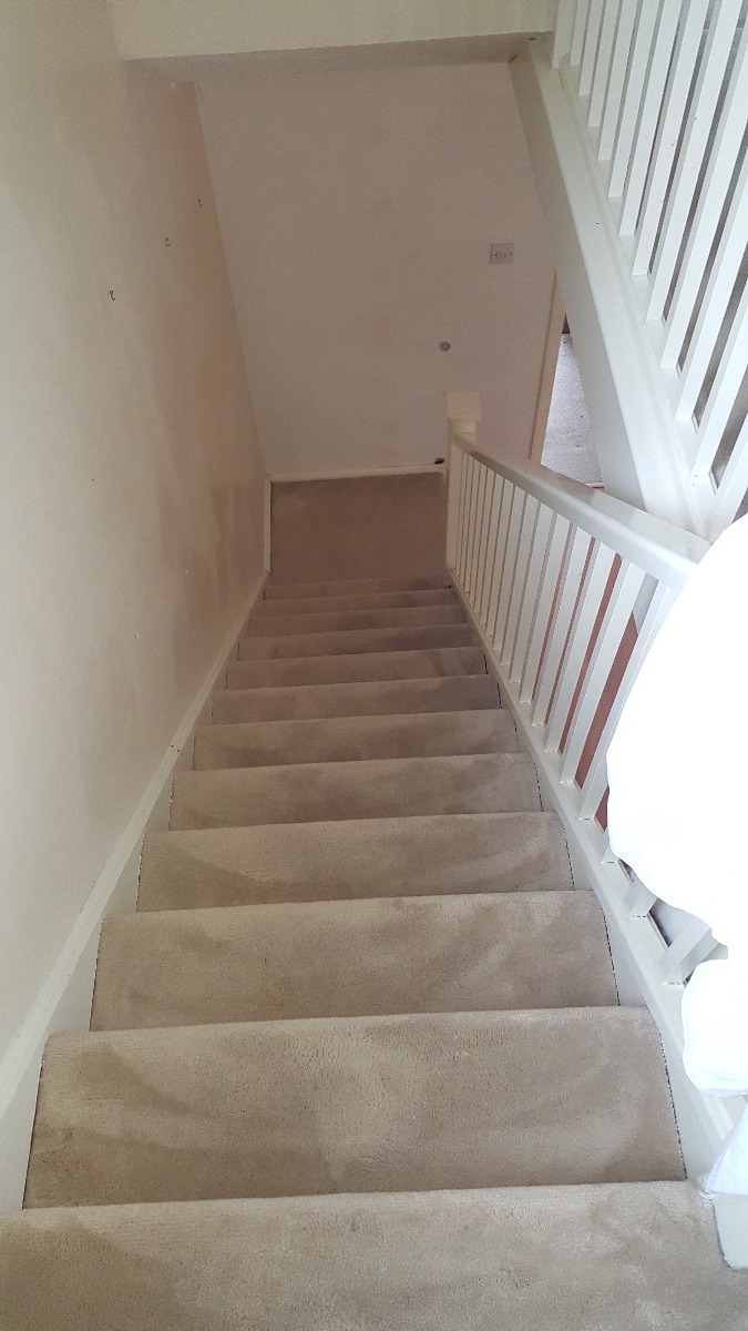 Cleaner: Image 1