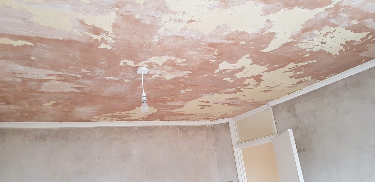 Painter and Decorator: Image 14