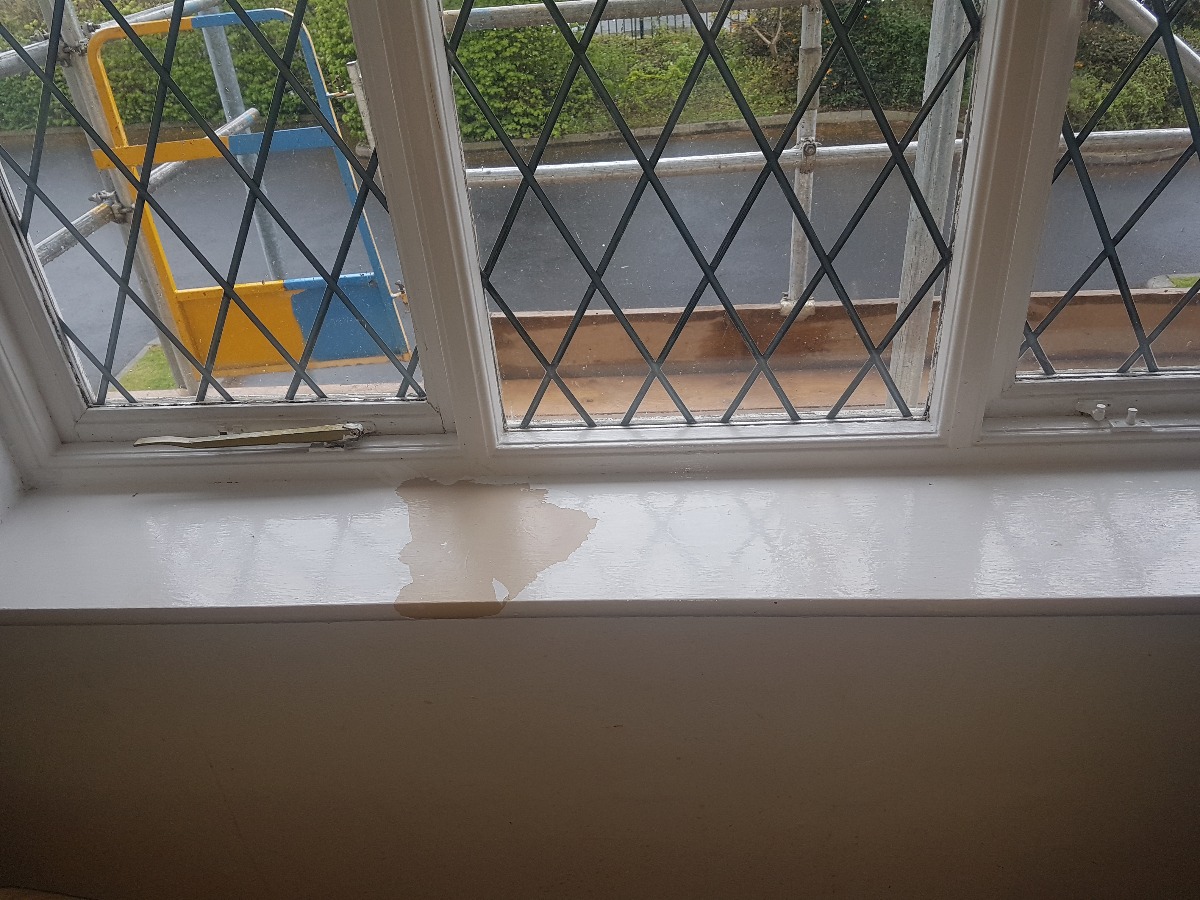 Cleaner: Image 6