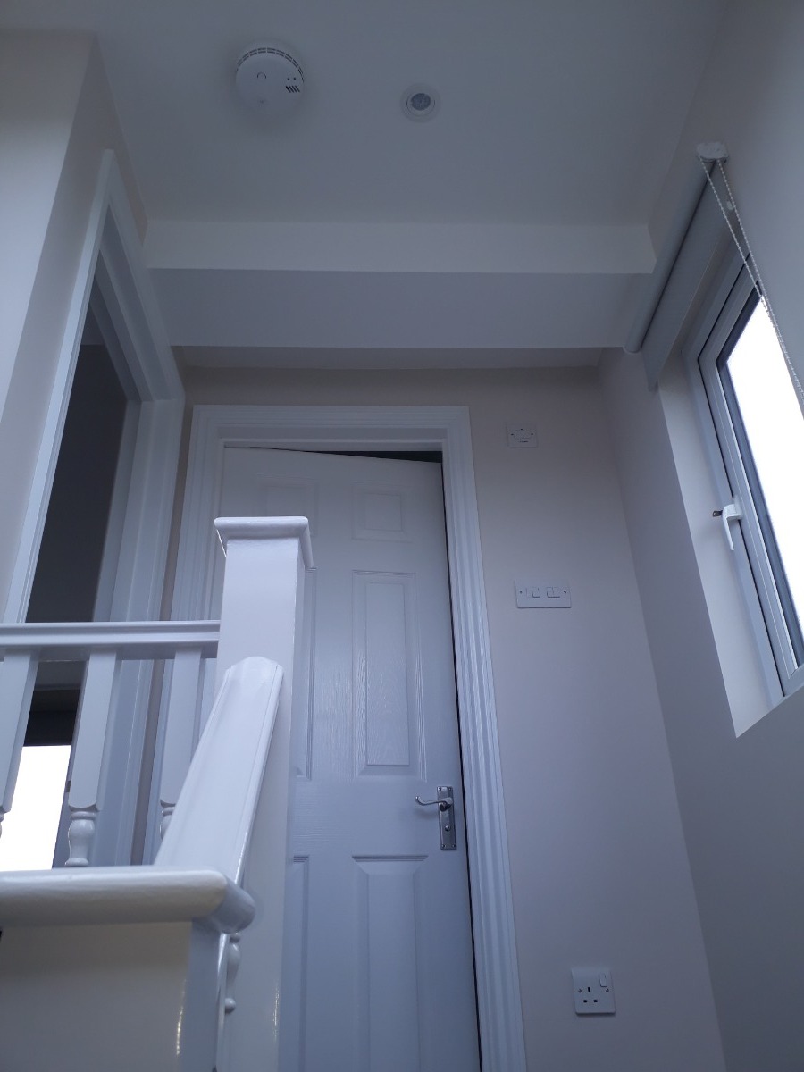 Company: Image 36