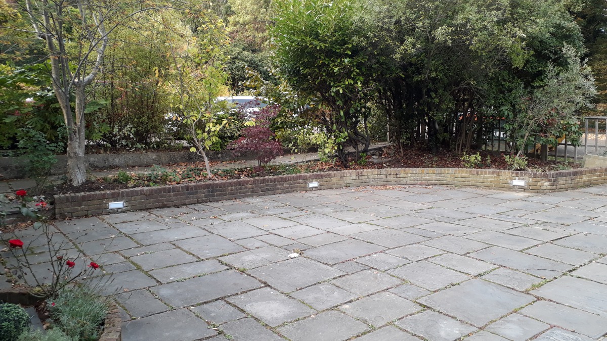Company: Image 155