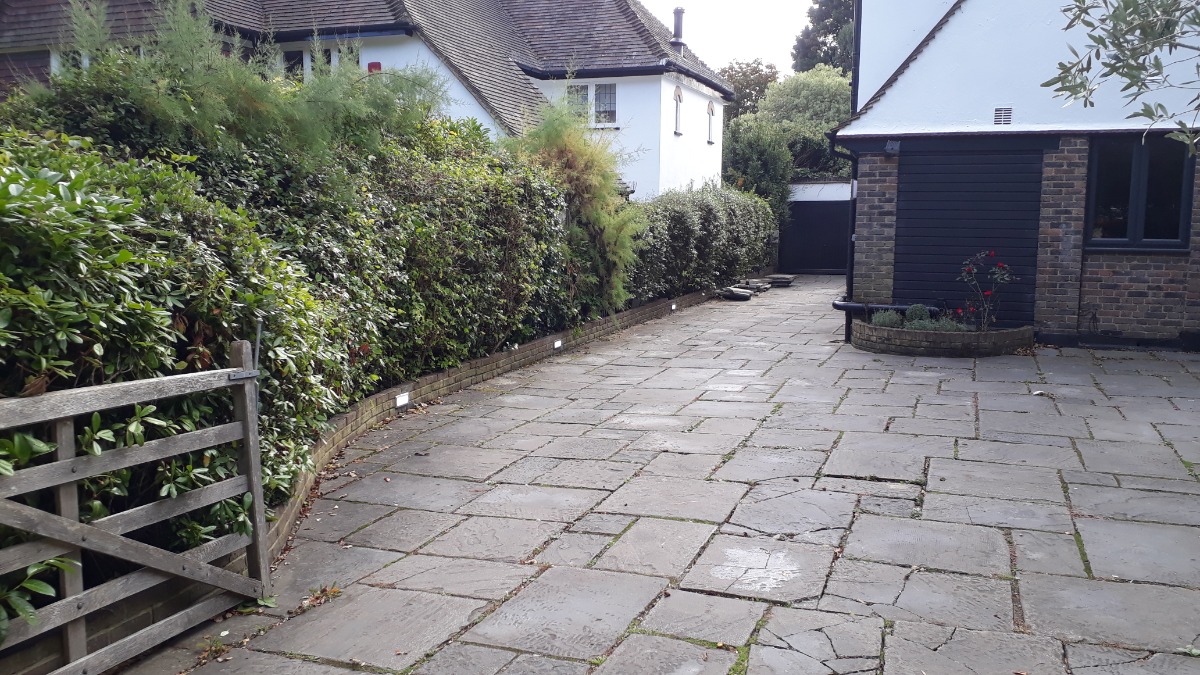 Company: Image 162