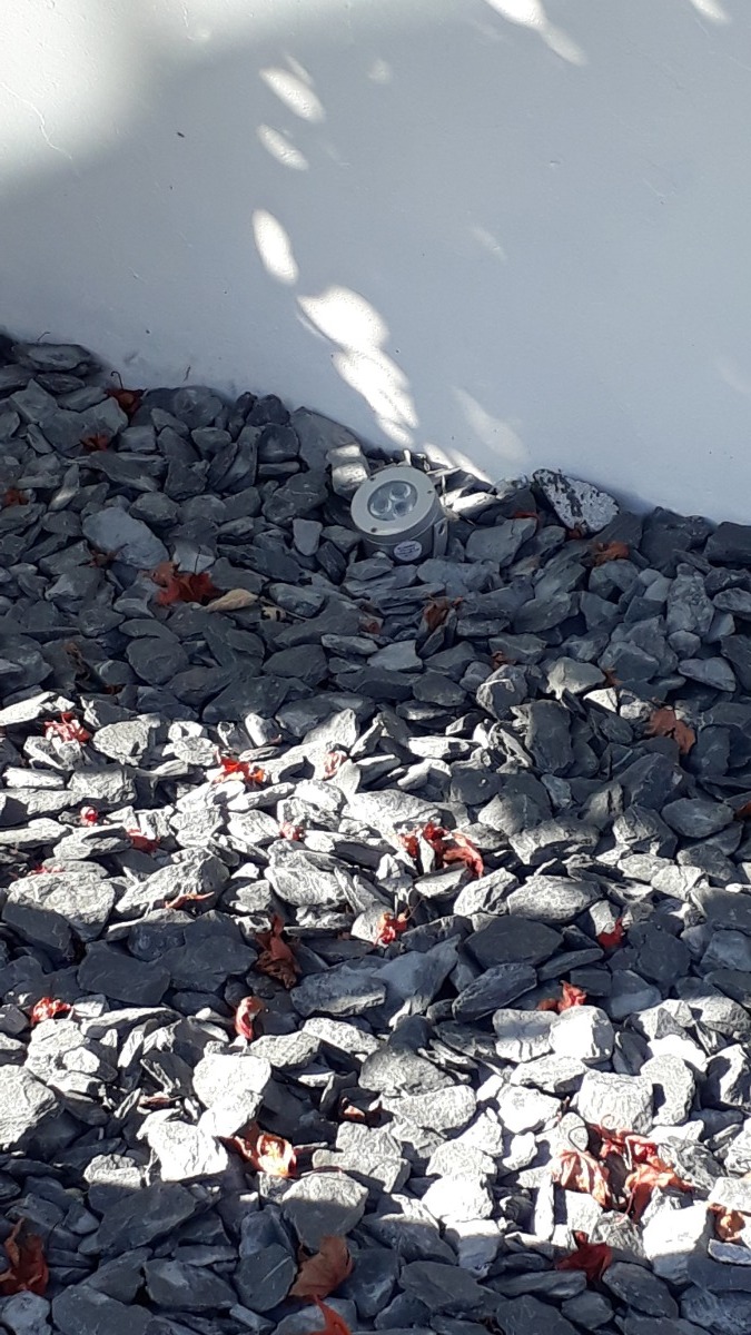 Company: Image 183