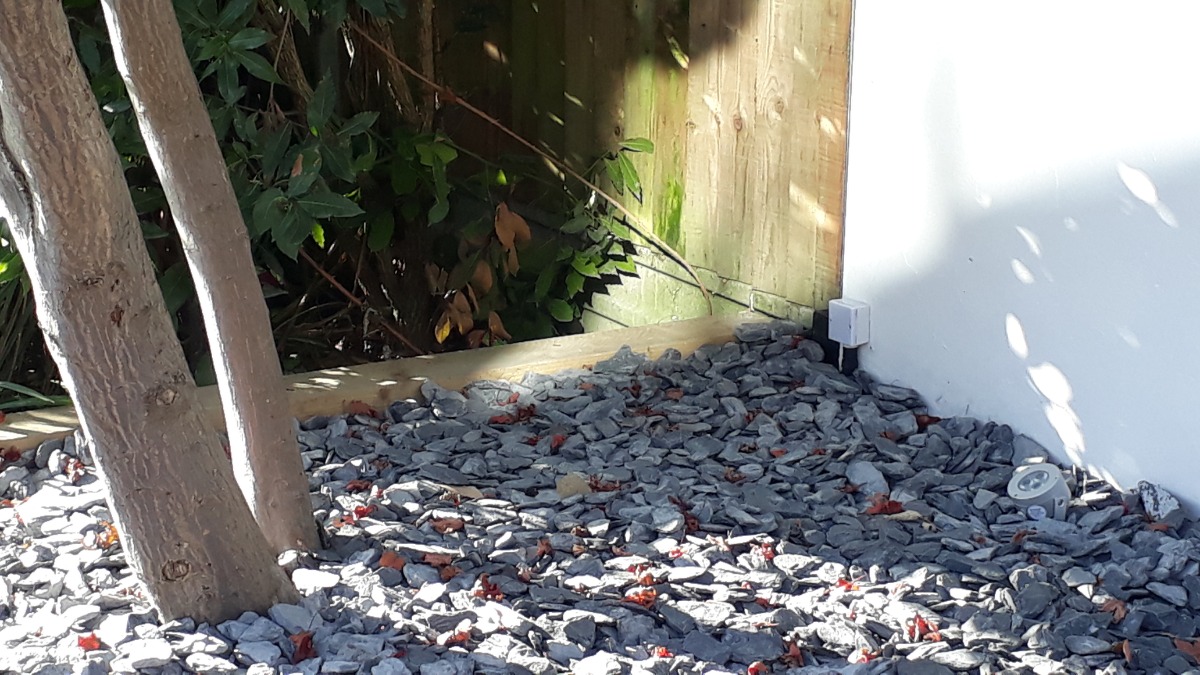Company: Image 182