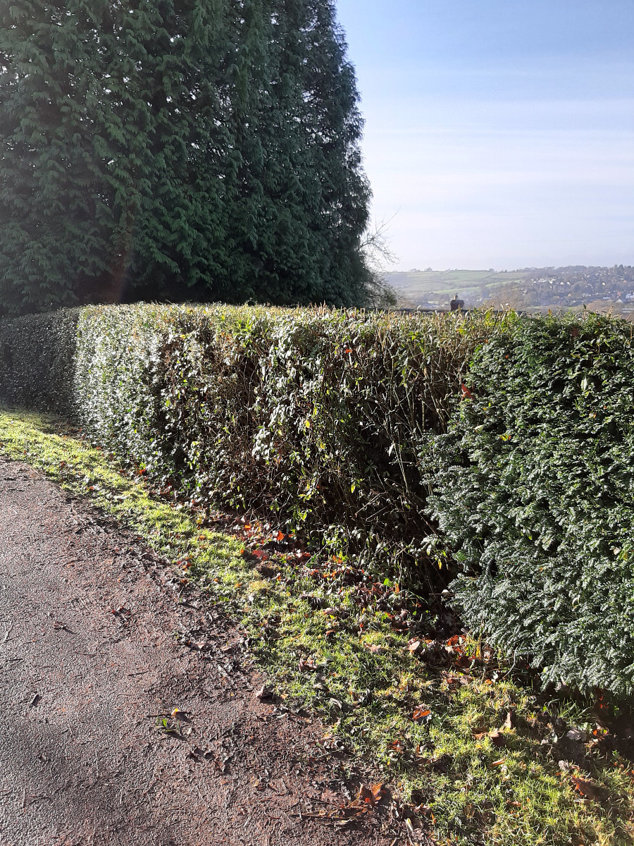 Gardener: Image 6