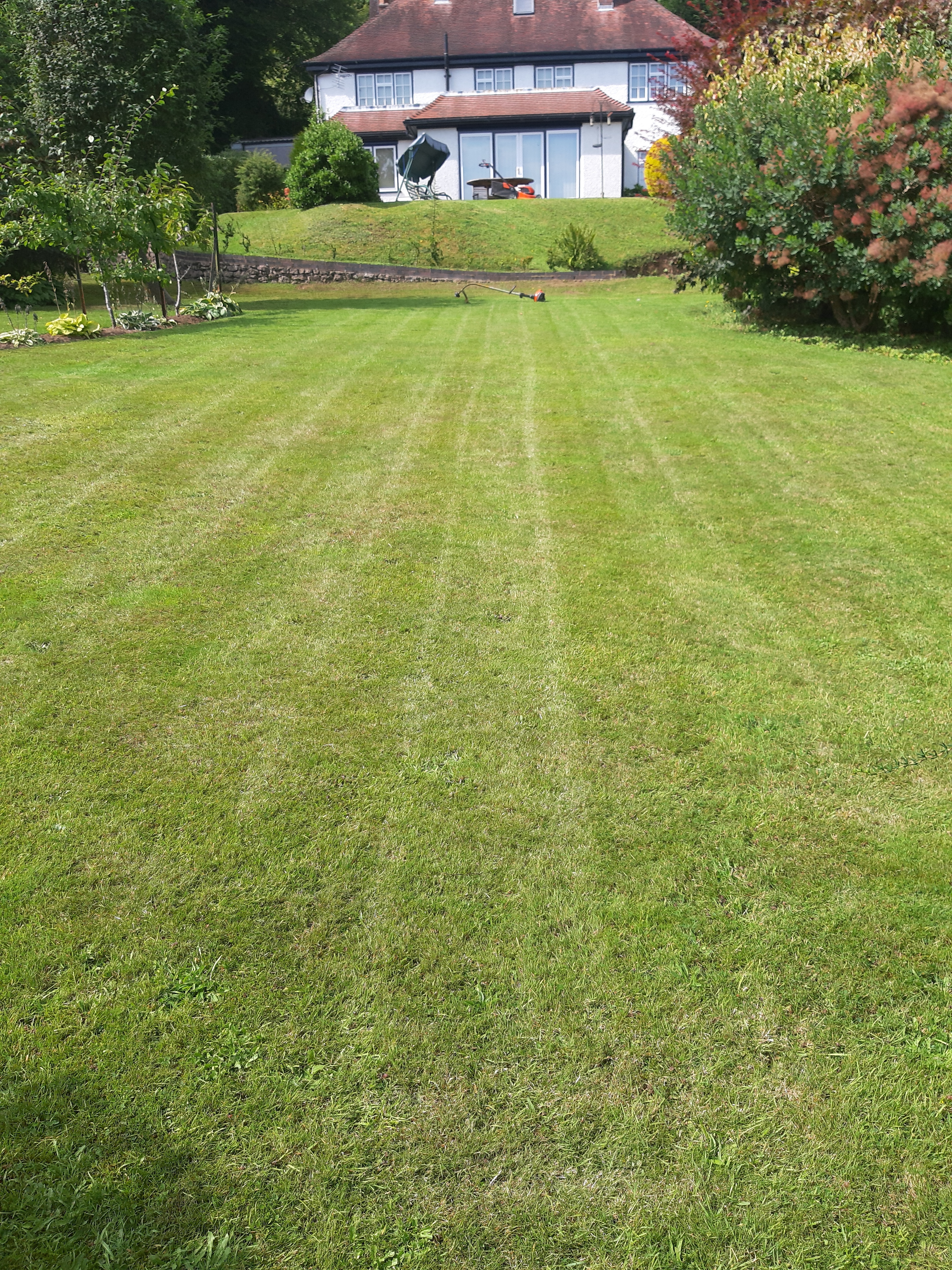 Gardener: Image 4