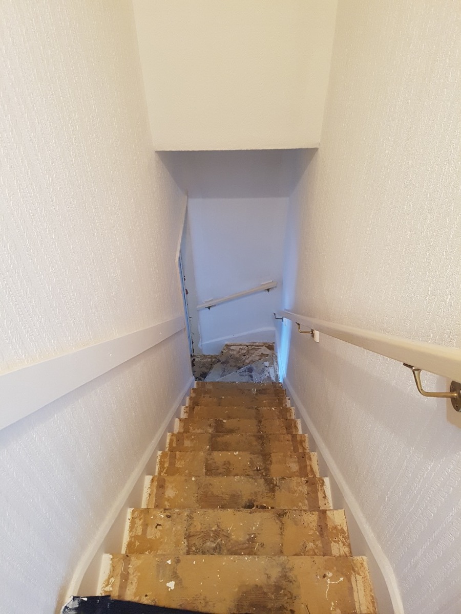 Painter and Decorator: Image 2