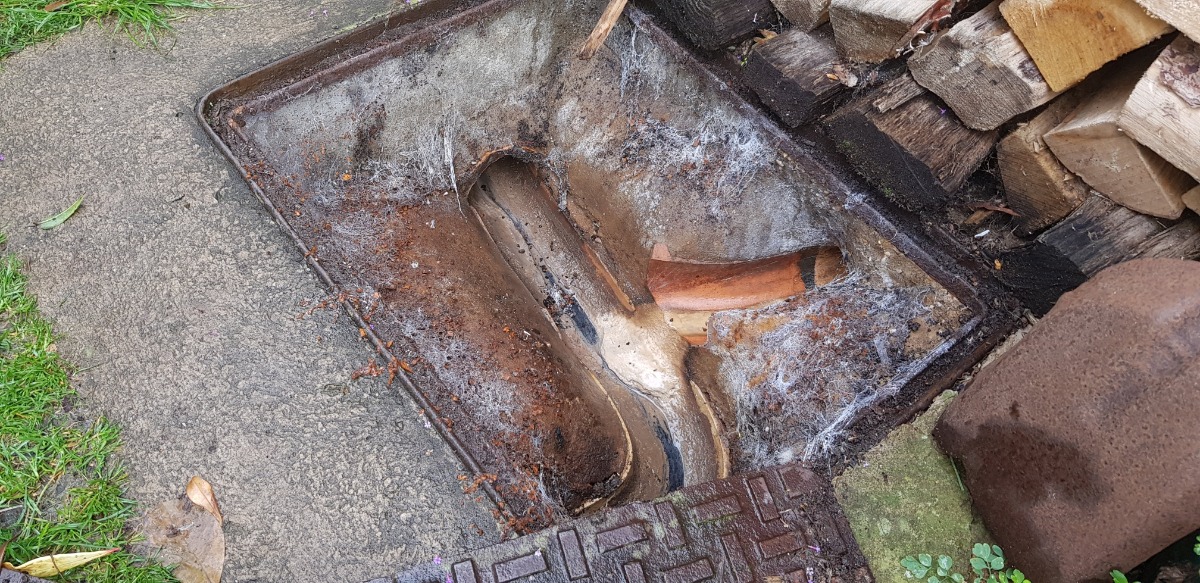 Drain Specialist: Image 1
