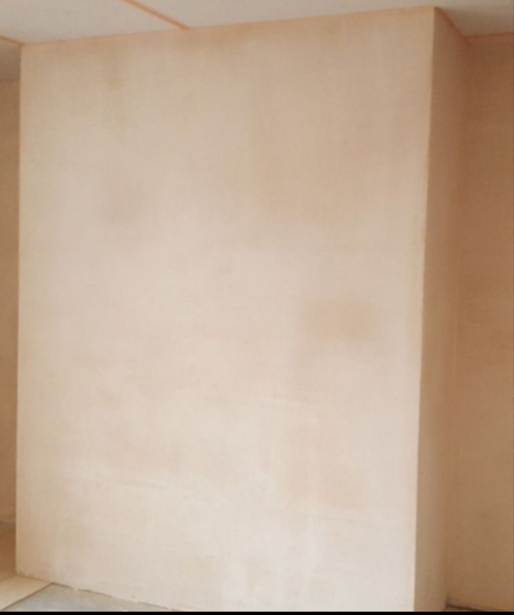 Plasterer: Image 1
