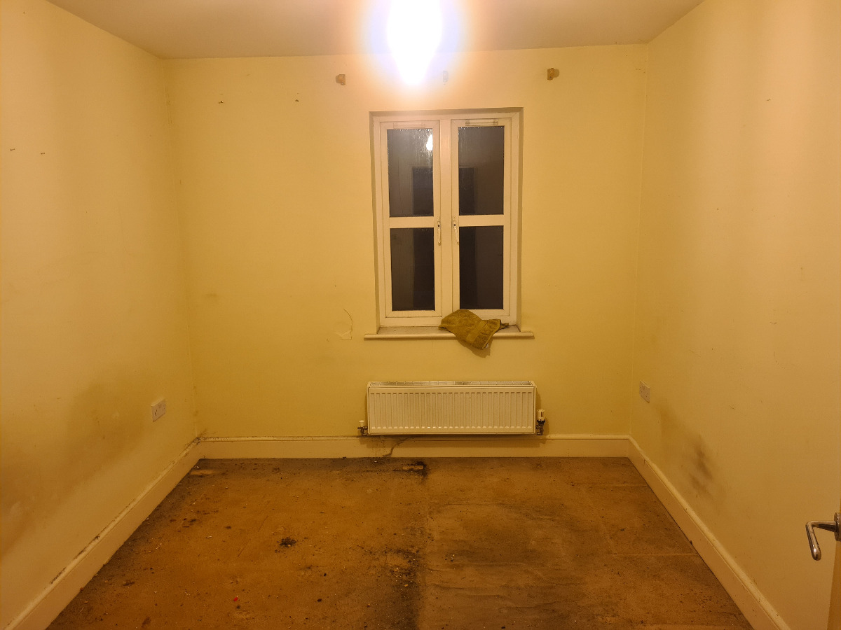 Painter and Decorator: Image 12